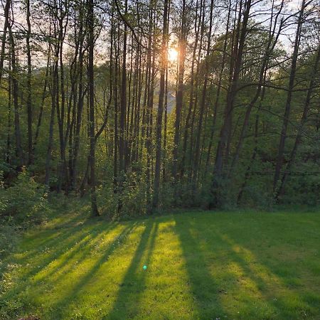 Ferienchalet-Floesswehrtal Bad Lauterberg Dış mekan fotoğraf