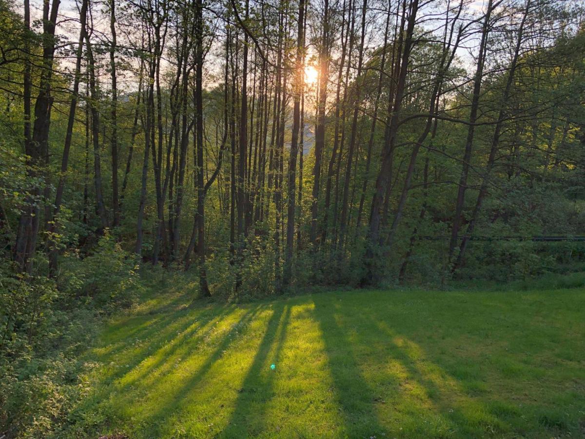 Ferienchalet-Floesswehrtal Bad Lauterberg Dış mekan fotoğraf
